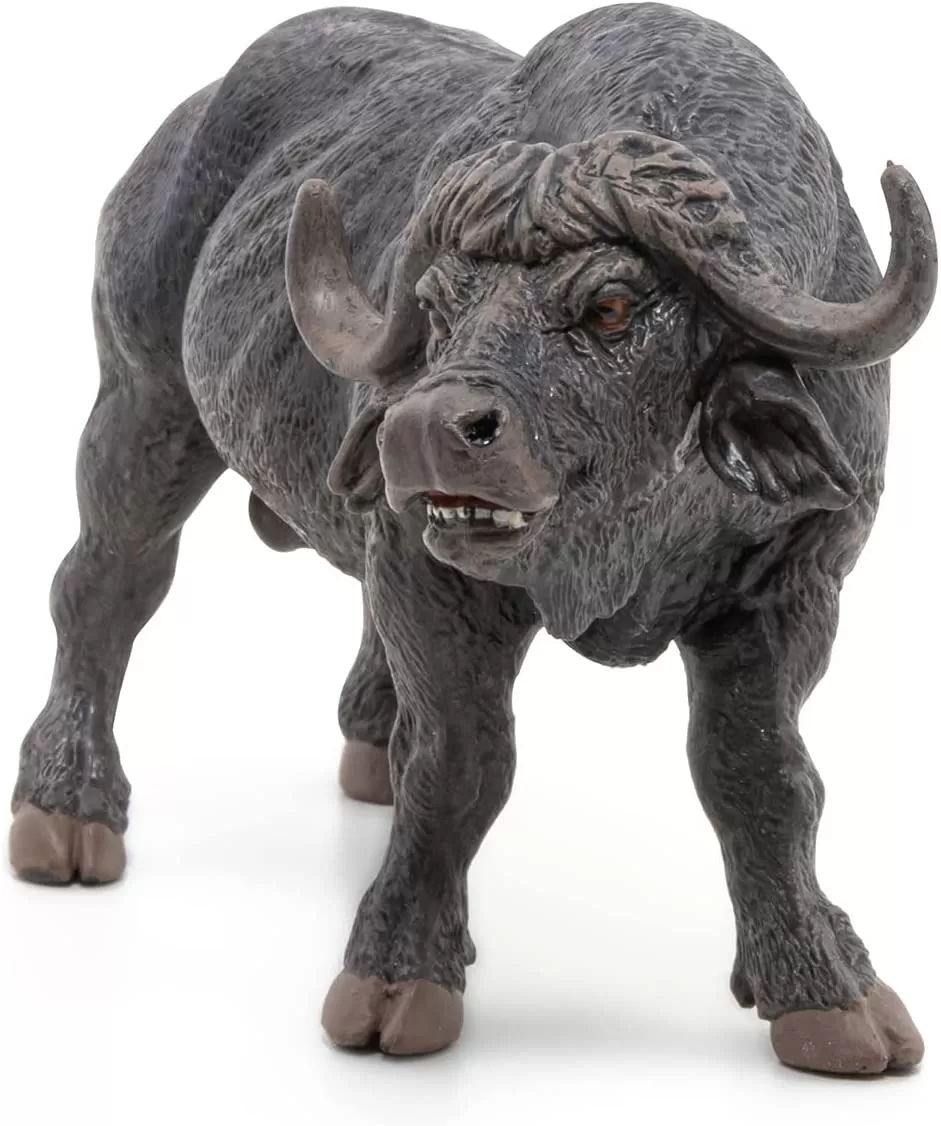 612swclPrQL__AC_SL1500__1664365274